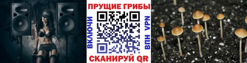 что такое наркотик  Ульяновск  Галлюциногенные грибы мицелий 