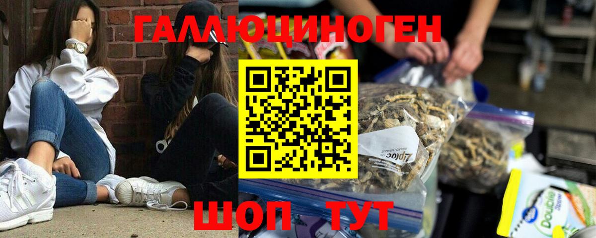 Галлюциногенные грибы мухоморы Ульяновск